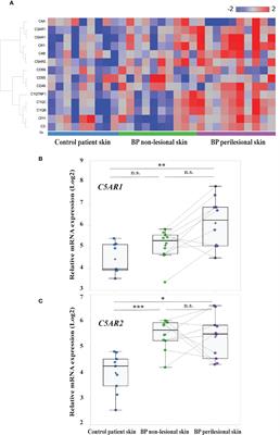 Differential expression of C5aR1 and C5aR2 in innate and adaptive immune cells located in early skin lesions of bullous pemphigoid patients